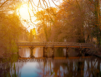 Bridge over lake in forest