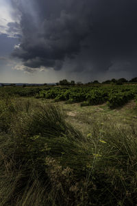 Scenic view of land against sky