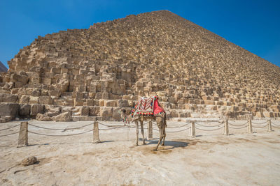 Rear view of man standing on sand