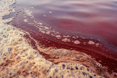 Sea water in salt farm. agriculture in thailand. process of retain water for 3 months