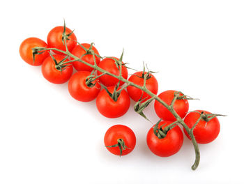 Close-up of tomatoes against white background