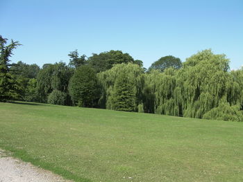 Scenic view of landscape against clear sky