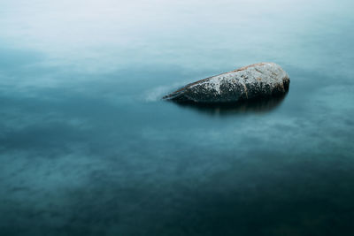High angle view of rock in sea