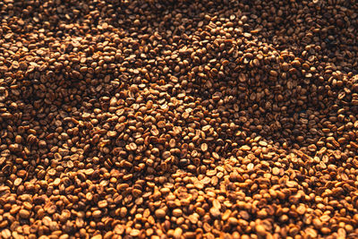 Full frame shot of coffee beans