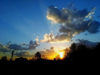 Low angle view of silhouette trees against sky during sunset