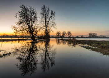 Reflection of trees in calm lake