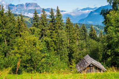 Scenic view of trees and mountains against sky