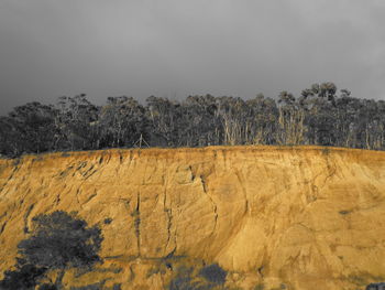 Close-up of green landscape against sky