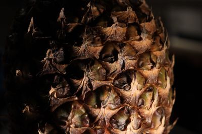 Close-up of pineapple