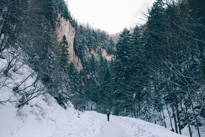 Snow covered landscape against sky
