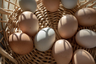 Basket of natural brown and bluish chicken eggs from local farmer's market