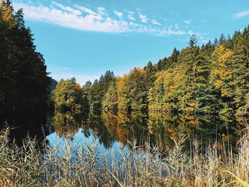 Scenic view of lake in forest against sky