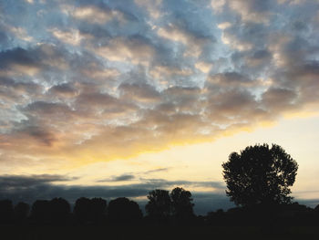 Silhouette trees on field against sky at sunset