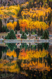 Scenic view of lake in forest during autumn