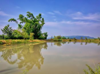 Reflection of trees in lake against sky