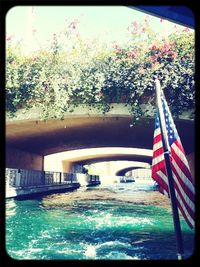 Reflection of trees in water