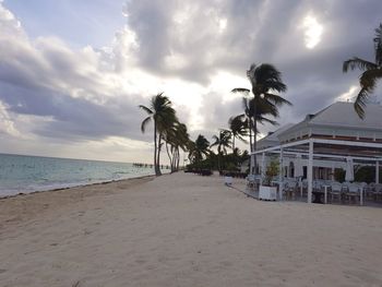 Palm trees on beach by sea against sky