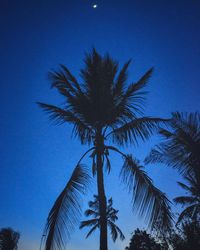 Low angle view of palm tree against blue sky