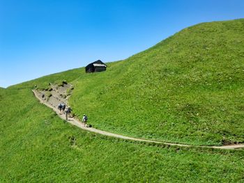 Scenic view of green landscape against clear blue sky