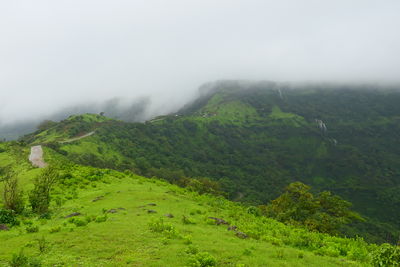 environment