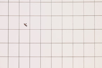 Surveilance camera on the wall in geometric pattern background. security camera in minimalistic 