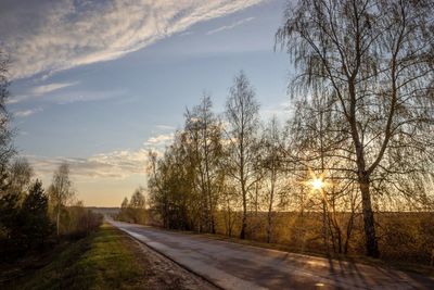 Empty road along plants and trees against sky