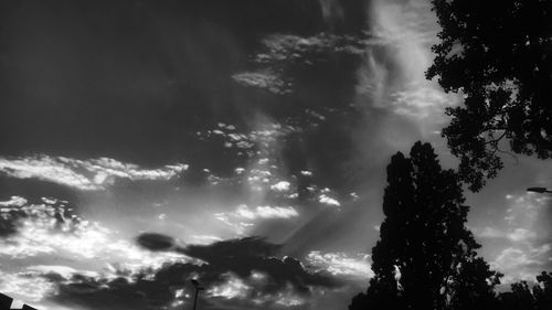 Low angle view of trees against storm clouds