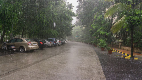 Cars on road in rainy season