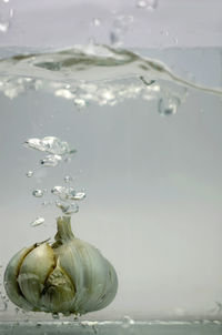 Close-up of garlic bulb in water