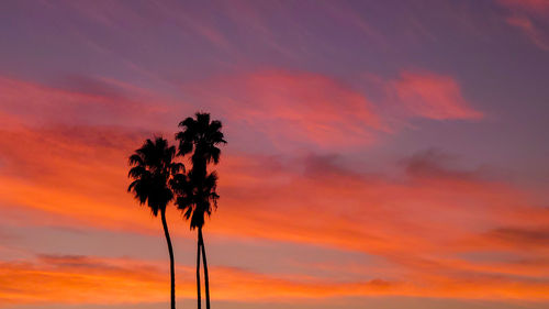 Low angle view of silhouette coconut palm tree against dramatic sky