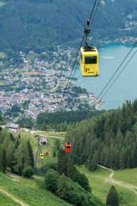 Overhead cable car over road amidst trees