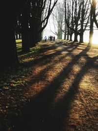 People walking on footpath in park