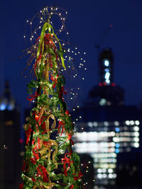 Illuminated christmas tree at night