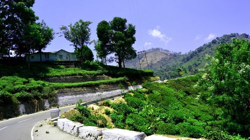 Road passing through landscape