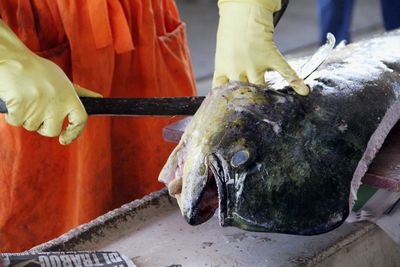 Cropped image of person cutting fish