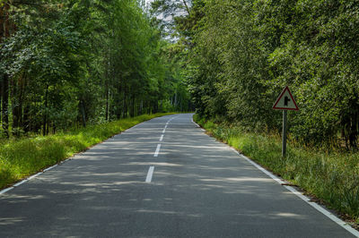 Two-lane asphalt road with white markings in the forest.