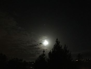 Low angle view of trees against sky at night