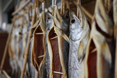 Dry salmons hanging for sale at fish market
