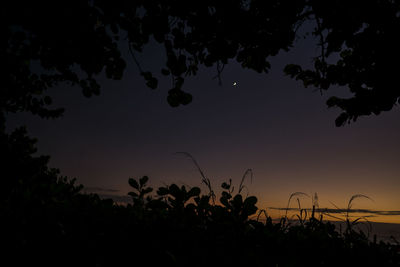 Low angle view of silhouette trees against sky at night