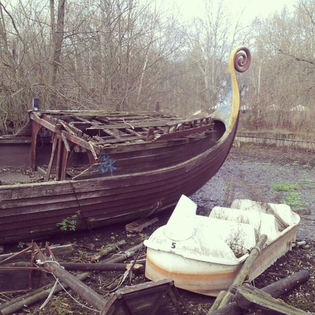 tree, wood - material, transportation, mode of transport, nautical vessel, boat, abandoned, moored, forest, bare tree, obsolete, damaged, day, outdoors, wood, old, tranquility, no people, nature, wooden