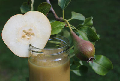 Close-up of drink on glass