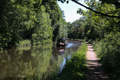 Scenic view of river amidst trees in forest