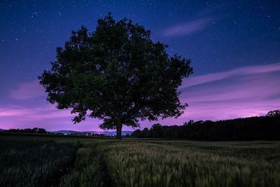 Trees on field against sky at night
