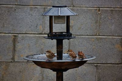 Close-up of lamp on table against wall