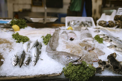 High angle view of food on table