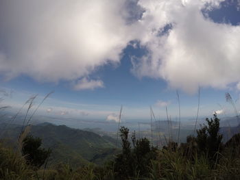 Scenic view of landscape against cloudy sky