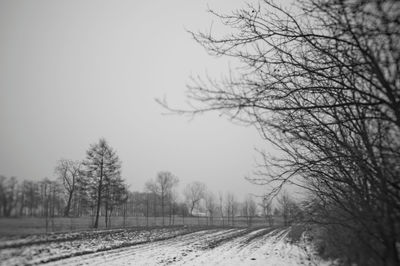 Bare trees on snow covered landscape against sky