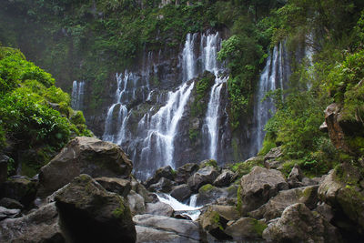 Scenic view of waterfall in forest