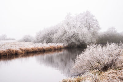 Scenic view of lake against clear sky during winter