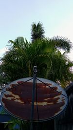 Low angle view of palm trees against clear sky